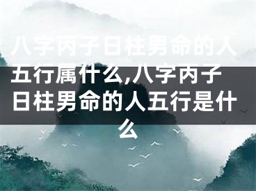 八字丙子日柱男命的人五行属什么,八字丙子日柱男命的人五行是什么