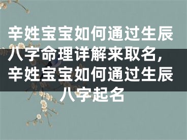 辛姓宝宝如何通过生辰八字命理详解来取名,辛姓宝宝如何通过生辰八字起名