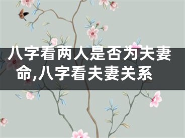 八字看两人是否为夫妻命,八字看夫妻关系