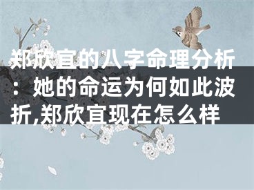 郑欣宜的八字命理分析：她的命运为何如此波折,郑欣宜现在怎么样