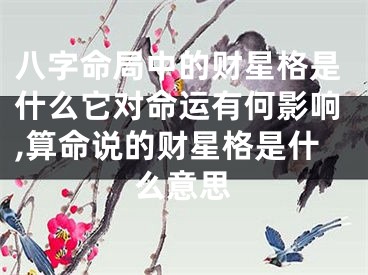 八字命局中的财星格是什么它对命运有何影响,算命说的财星格是什么意思