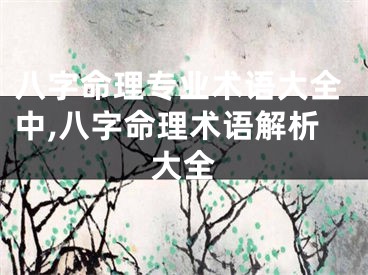 八字命理专业术语大全中,八字命理术语解析大全