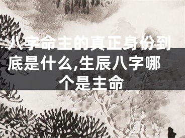 八字命主的真正身份到底是什么,生辰八字哪个是主命
