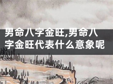 男命八字金旺,男命八字金旺代表什么意象呢