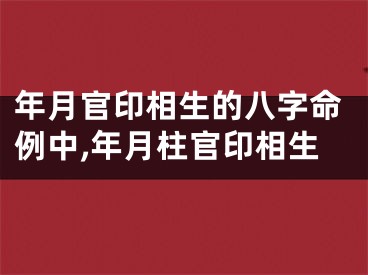年月官印相生的八字命例中,年月柱官印相生