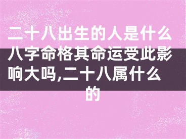 二十八出生的人是什么八字命格其命运受此影响大吗,二十八属什么的