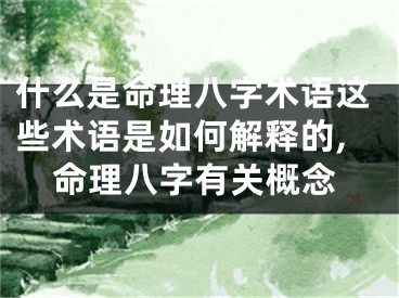 什么是命理八字术语这些术语是如何解释的,命理八字有关概念