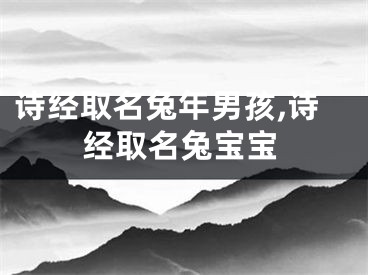 诗经取名兔年男孩,诗经取名兔宝宝