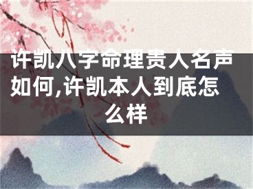 许凯八字命理贵人名声如何,许凯本人到底怎么样