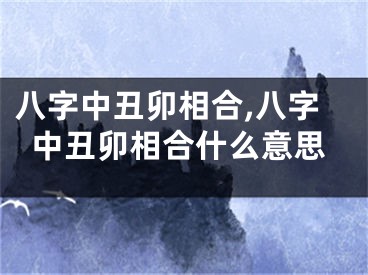 八字中丑卯相合,八字中丑卯相合什么意思