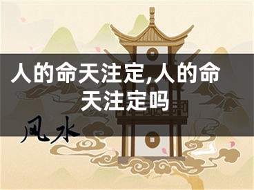 人的命天注定,人的命天注定吗