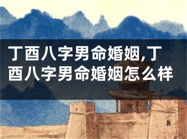 丁酉八字男命婚姻,丁酉八字男命婚姻怎么样