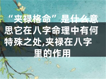 “夹禄格命”是什么意思它在八字命理中有何特殊之处,夹禄在八字里的作用
