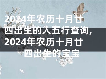 2024年农历十月廿四出生的人五行查询,2024年农历十月廿四出生的宝宝