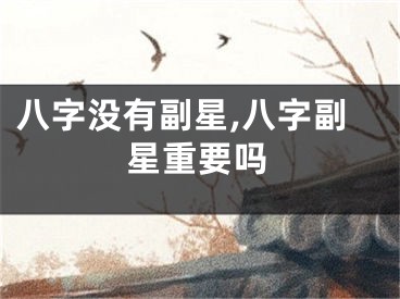 八字没有副星,八字副星重要吗