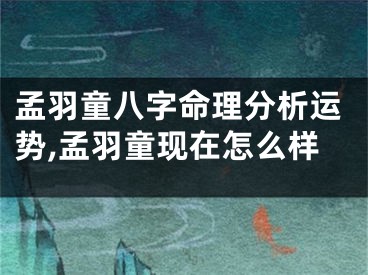 孟羽童八字命理分析运势,孟羽童现在怎么样