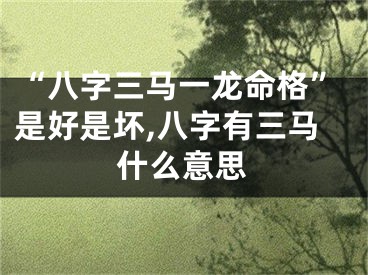 “八字三马一龙命格”是好是坏,八字有三马什么意思