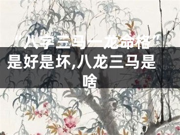 “八字三马一龙命格”是好是坏,八龙三马是啥