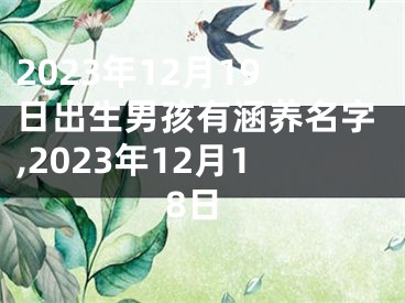 2023年12月19日出生男孩有涵养名字,2023年12月18日