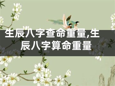 生辰八字查命重量,生辰八字算命重量