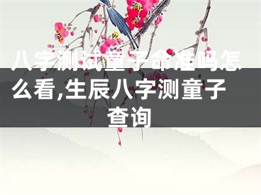 八字测试童子命准吗怎么看,生辰八字测童子查询