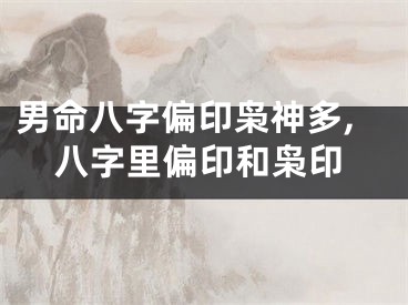 男命八字偏印枭神多,八字里偏印和枭印