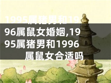 1995属猪男和1996属鼠女婚姻,1995属猪男和1996属鼠女合适吗