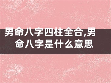 男命八字四柱全合,男命八字是什么意思
