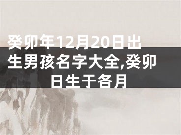 癸卯年12月20日出生男孩名字大全,癸卯日生于各月