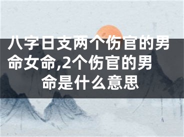 八字日支两个伤官的男命女命,2个伤官的男命是什么意思