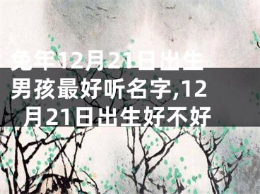 兔年12月21日出生男孩最好听名字,12月21日出生好不好