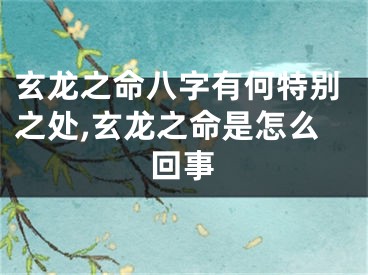 玄龙之命八字有何特别之处,玄龙之命是怎么回事