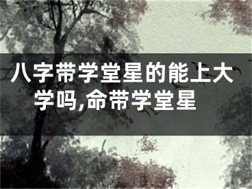 八字带学堂星的能上大学吗,命带学堂星