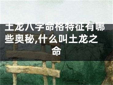 土龙八字命格特征有哪些奥秘,什么叫土龙之命