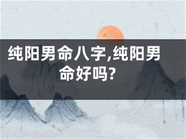 纯阳男命八字,纯阳男命好吗?