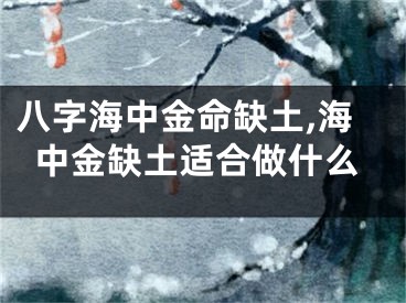 八字海中金命缺土,海中金缺土适合做什么