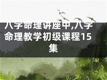 八字命理讲座中,八字命理教学初级课程15集