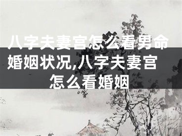 八字夫妻宫怎么看男命婚姻状况,八字夫妻宫怎么看婚姻