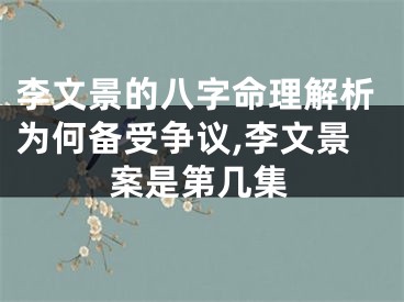 李文景的八字命理解析为何备受争议,李文景案是第几集