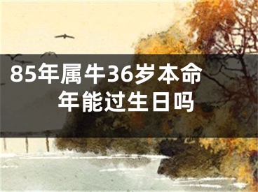 85年属牛36岁本命年能过生日吗