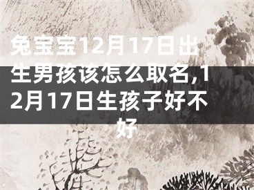 兔宝宝12月17日出生男孩该怎么取名,12月17日生孩子好不好