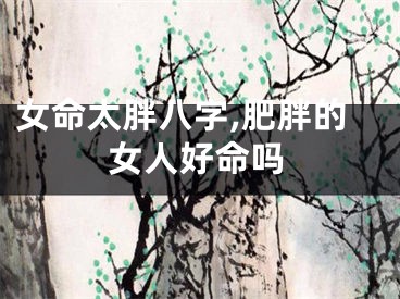 女命太胖八字,肥胖的女人好命吗