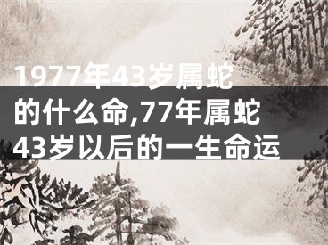 1977年43岁属蛇的什么命,77年属蛇43岁以后的一生命运
