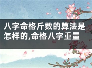 八字命格斤数的算法是怎样的,命格八字重量