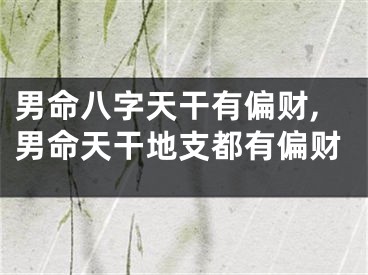 男命八字天干有偏财,男命天干地支都有偏财