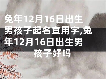 兔年12月16日出生男孩子起名宜用字,兔年12月16日出生男孩子好吗