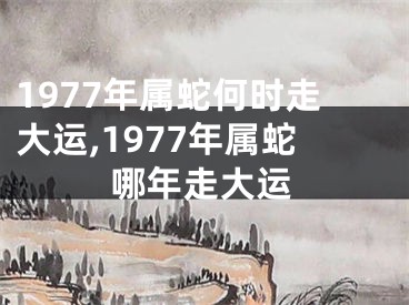 1977年属蛇何时走大运,1977年属蛇哪年走大运