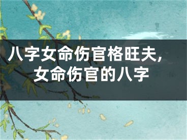 八字女命伤官格旺夫,女命伤官的八字