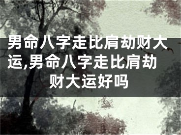 男命八字走比肩劫财大运,男命八字走比肩劫财大运好吗