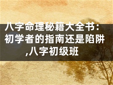 八字命理秘籍大全书：初学者的指南还是陷阱,八字初级班